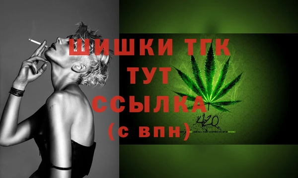 молекула духа Пересвет