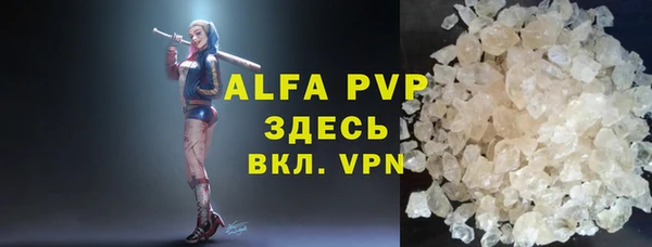 молекула духа Пересвет