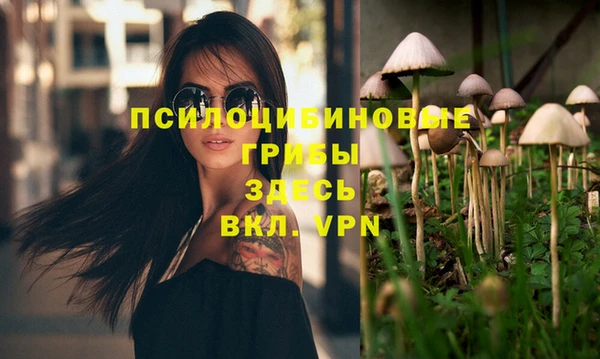 трава Абинск
