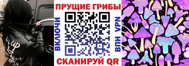 Псилоцибиновые грибы ЛСД Тотьма
